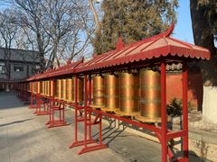 -护国法轮寺