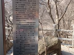 -崂山巨峰游览区