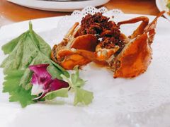 -友强·23年特色海鲜大排档(厦门店)