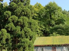 -庐山风景区花径公园