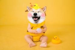 点击看大图 -倾城宝贝儿童摄影(浦东金谊店)