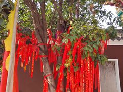 -长春观
