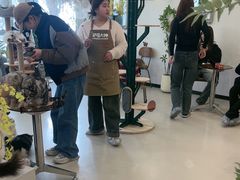 -共舞时光猫咖·狗咖(新街口店)