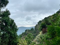 -北京上方山国家森林公园