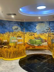 -深圳春天阳光医院·轮廓抗衰中心