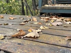 -吉林市朱雀山国家森林公园