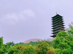-牛首山文化旅游区