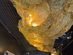 -顶特勒·黄鱼馆·特色菜(上海大世界店)