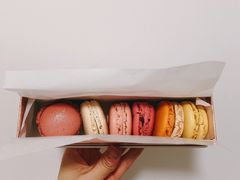 -Pierre Marcolini(德基广场店)