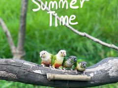 -云南野生动物园