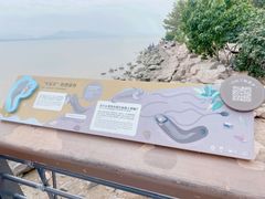 -深圳湾公园(南山区)