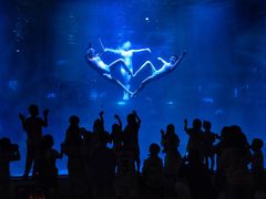 -福州罗源湾海洋世界旅游区