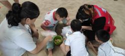 -寻石问宝研学亲子乐园(朝阳公园店)