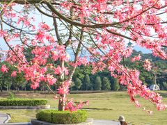 -风云岭森林公园