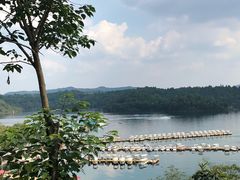 -仙海旅游度假区