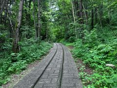 -五营国家森林公园
