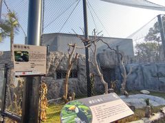 -武汉动物园
