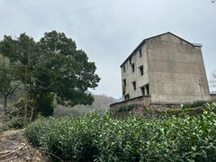 -十九峰景区-倒脱靴