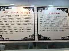 -九斤黄三黄鸡专卖店