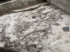 -金沙遗址博物馆