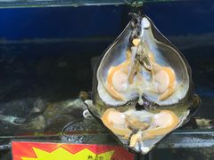 -蚝专家(北滘店)
