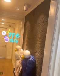 -乐绅男士高端假发定制