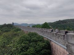 -黄贤森林公园