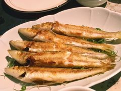 -T館·花园艺术餐厅