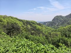 -沂蒙山旅游区云蒙景区(蒙山国家森林公园)