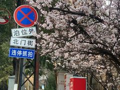 -萨尔瓦多Salvador's