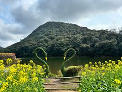 -广州市石门国家森林公园