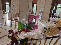 -禾丽康美医疗美容医院