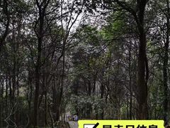 -火炉山森林公园