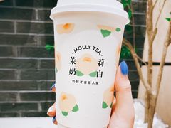 茉莉奶白-茉莉奶白