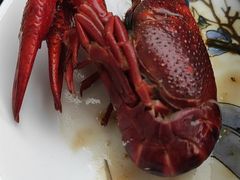 -小鳌陪你小排档·四季小龙虾·田鸡·宵夜(中央第五街店)