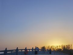 -白洋淀景区