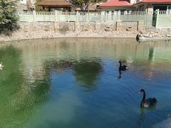 -芭东小镇温泉