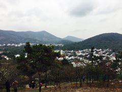 -香雪海
