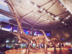 -恐龙探索乐园(磁器口店)