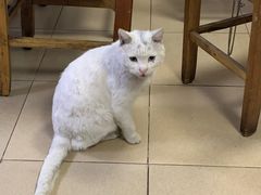 -甜甜屋(解放中路店)