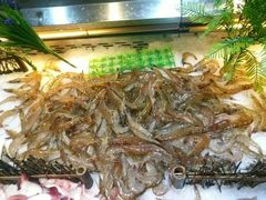 -蒙肥羊·酸汤潮牛·鲜牛肉火锅烤肉自助(岗顶店)