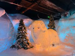-海合安武汉极地海洋公园