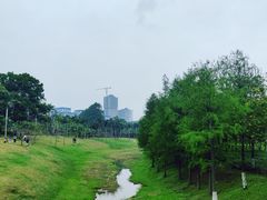 -聚龙山公园