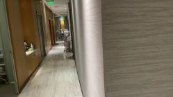 -苑苑vbeauty科技美容SPA