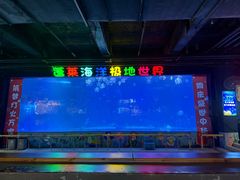 -蓬莱欧乐堡海洋极地世界