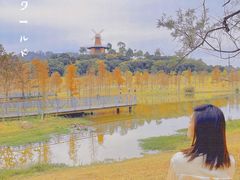 -东莞植物园