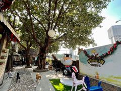 -柴犬高等学院·狗咖·柴犬售卖·宠物训练