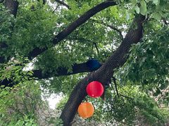 -J Create城市露营咖啡·简餐·宠物(上海动物园店)