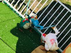 -瓷天下海丝谷