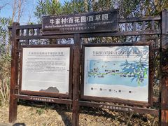 -合肥滨湖国家森林公园